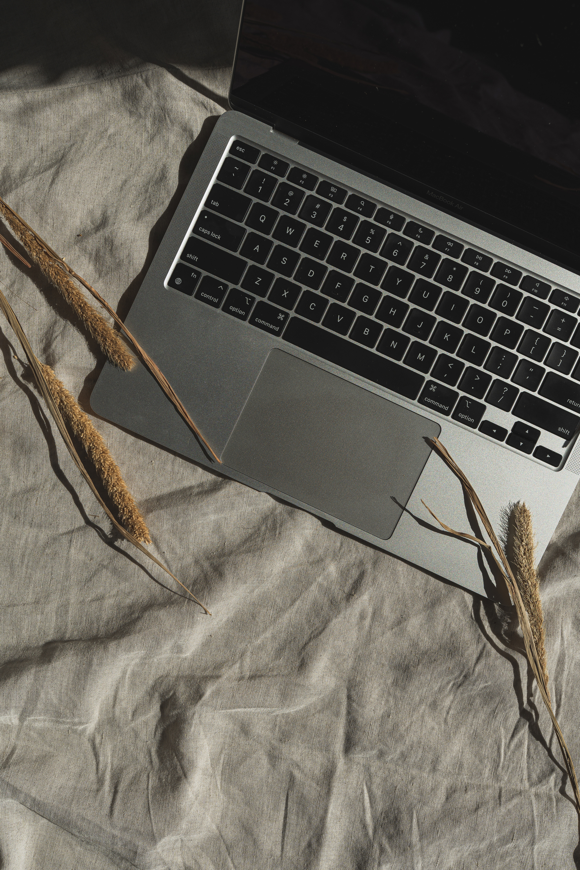 Top View of Laptop with Dried Grass on Fabric